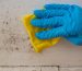 Close-up of woman's hand in blue gloves cleaning mold from wall. Formation of black mold due to high humidity. Harm to human health. Methods of mold wrestling.